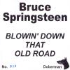 Blowin' Down That Old Road (December 1995 - January 1996)