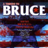 Various artists -- A Tribute To Bruce Springsteen