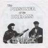 Greg Von Teig -- The Prisoner Of His Dreams: Greg Von Teig Plays Bruce Springsteen