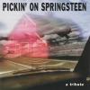 Session musicians featuring David West -- Pickin' On Springsteen - A Tribute