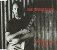 Joe Grushecky -- Labour Of Love (Live)