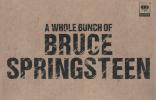 A Whole Bunch Of Bruce Springsteen