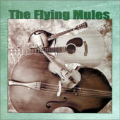 The Flying Mules -- Songs, Tunes & Riddles