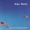 Mark Wright -- Real World: The Bruce Springsteen Project