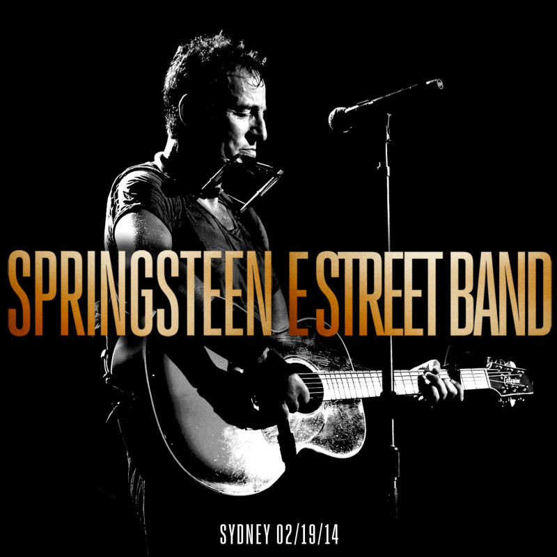 Bruce Springsteen Vienna